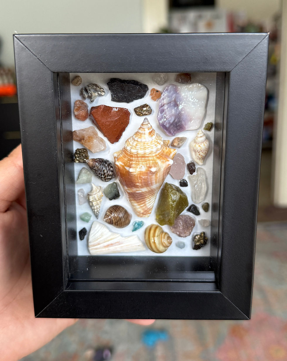 Thumbnail: Shell Shadow Box