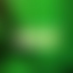 Confira calendário dos pagamentos do Auxílio Brasil em 2023