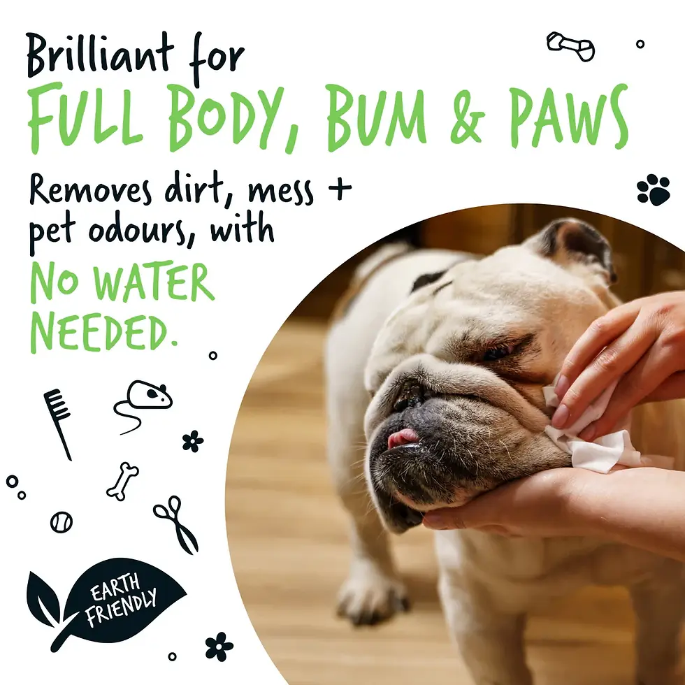 Thumbnail: Bugalugs Fragrance Free Pet Wipes for Full Body, Bum & Paws (110)