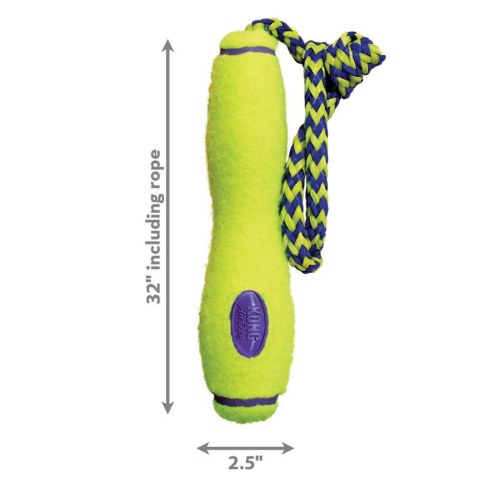 Thumbnail: Airdog Fetch Stick with Rope Large