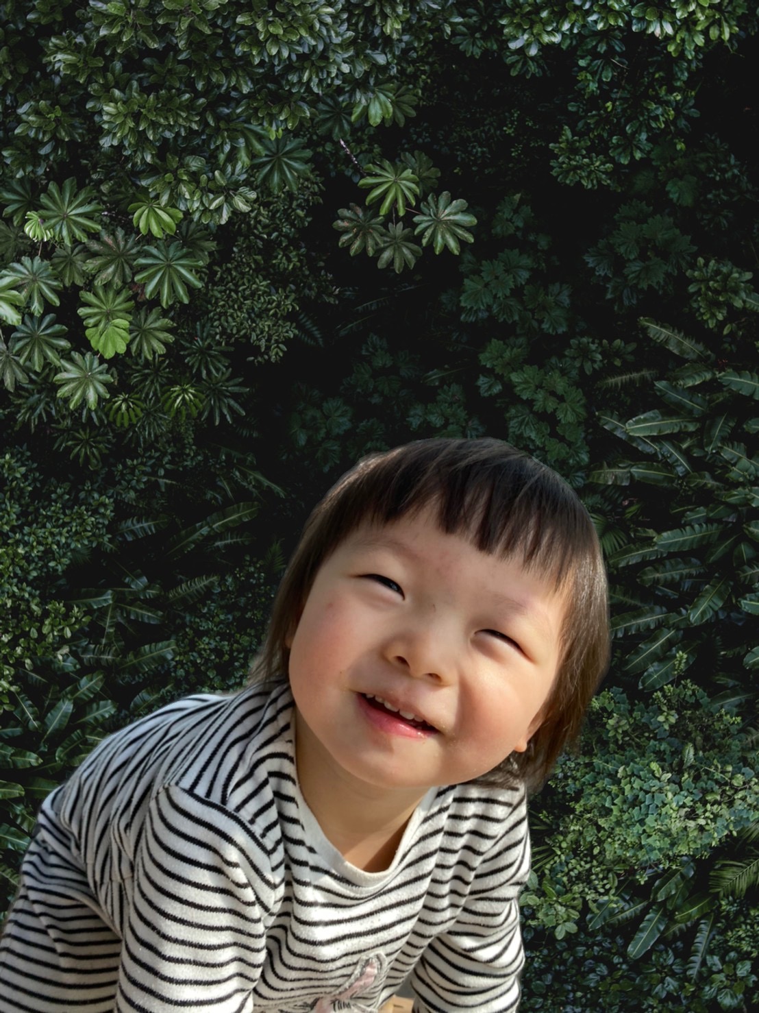 執筆者の写真: IMAZATO