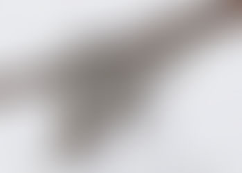 Great Grey Owl in flight photo