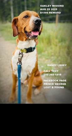 OAKLEY MISSING DOG.jpg