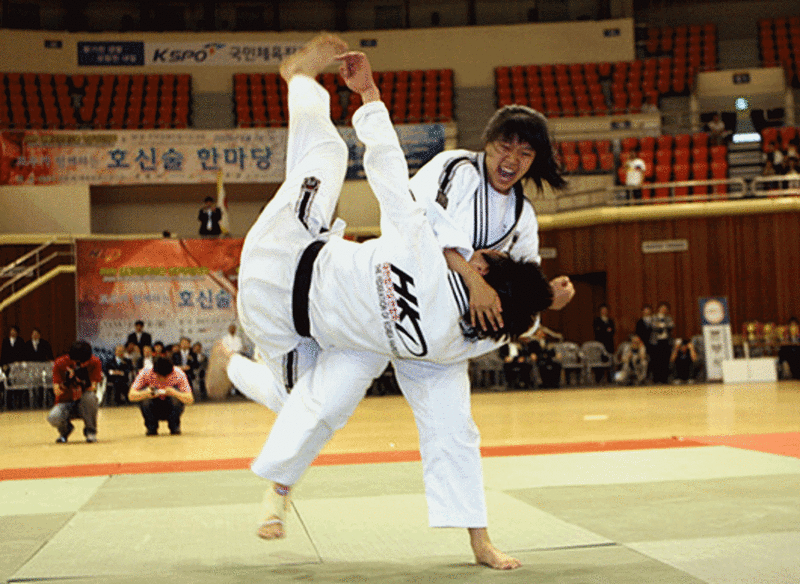 hapkido.gif