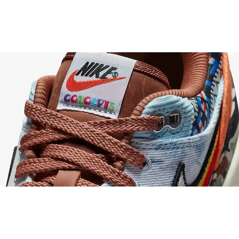 Thumbnail: Concepts x Nike Air Max 1 Heavy