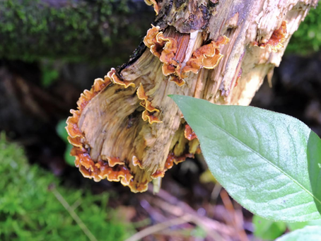 H is for History, Humanity, and (dare I say) Hope