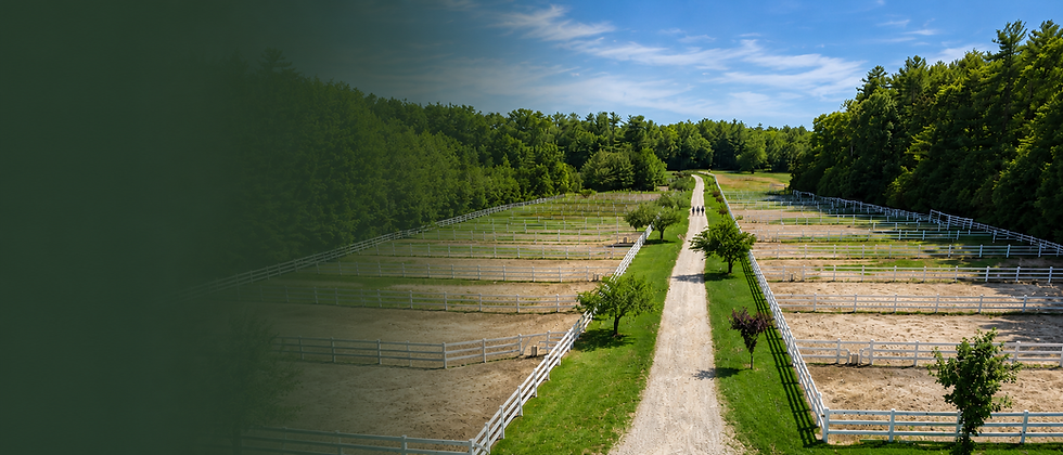 Aerial view of horse paddocks at Sterling Pointe Farm