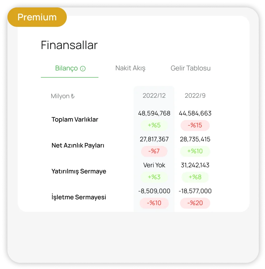 şirket bilançoları.webp