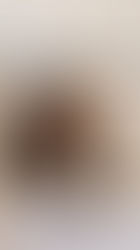 11èmes Rencontres Suisses d'Origami