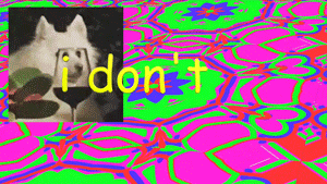 Daisy-Bates--Experience-and-Environment-final-outcome--'The-Mental-Shit-Show'--copy.gif