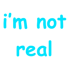 IMG_0140.PNG