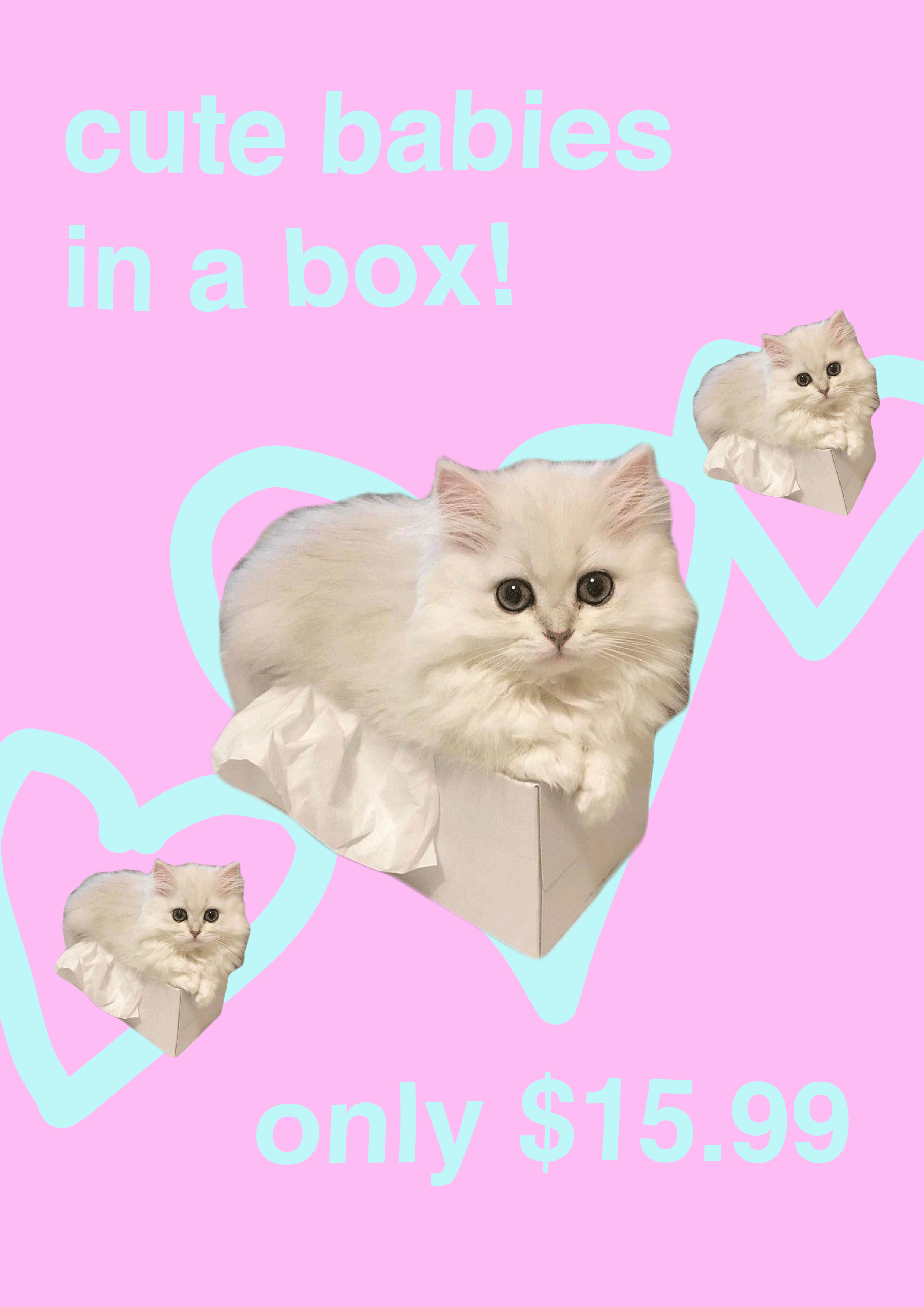babies-in-a-box