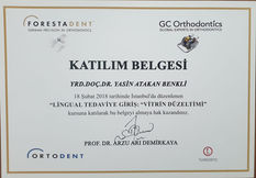 LİNGUAL TEDAVİYE GİRİŞ KATILIM SERTİFİKASI