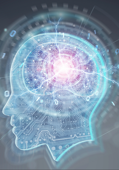 Neuromanagement visualisiert mit Grafik von einem Kopf mit Gehirn.png