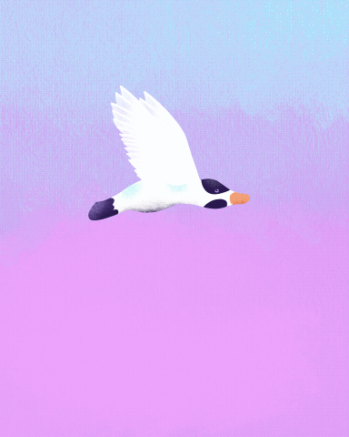 Untitled_Artwork