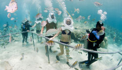 Walking with SeaTrek