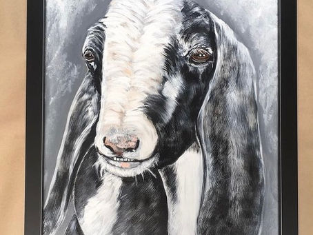 GOATS, GOATS and more goats!
