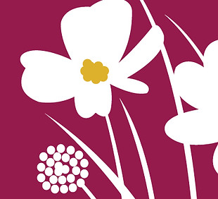 Portfolio crops_4.jpg