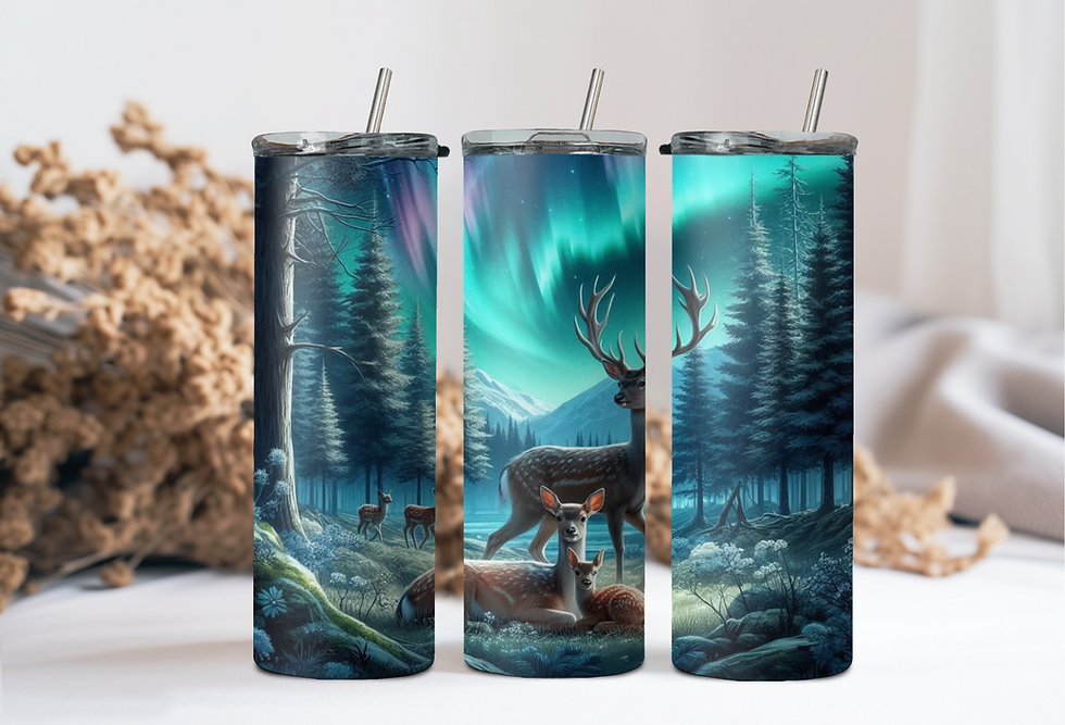 Thermos Sip & Straw ''Nuit boréale''