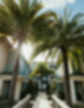 ethan-walsweer-CVFw3DjMEcU-unsplash_edited.png