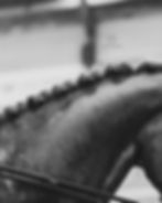 Dressuur RSV de Cavalieren