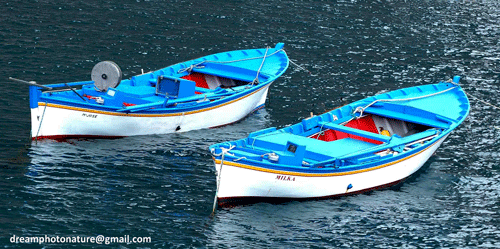 Fishing Boats, Valle Gran Rey