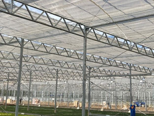 Greenhouse Growers Invest In Energy-Saving, Crop-Protecting Shades Ahead Of Another Hot Summer 