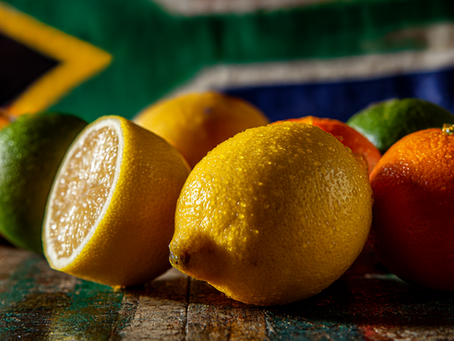 Industry Calls For South African Citrus Exemption Under UK-EU Reset