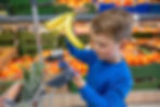 Image: Lidl GB