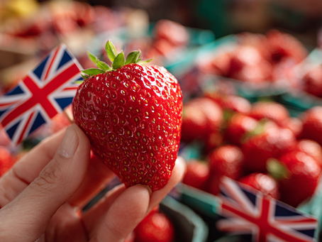 British Strawberries Promise “Outstanding Quality” Despite Delay