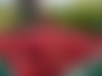 British Raspberry Growers Herald Exceptionally Sweet Crop