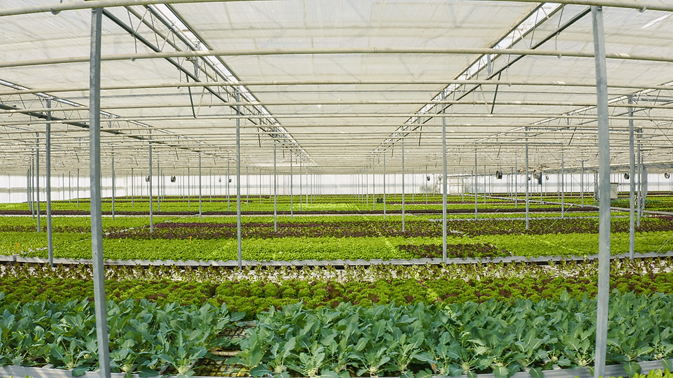 Image: WUR