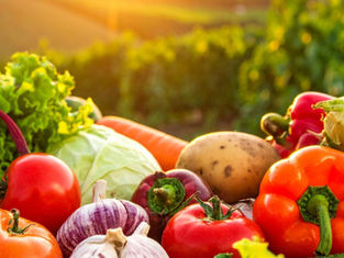 Over 100 Retailers, Businesses, NGOs Call For Government Policy To Transform UK Food Security