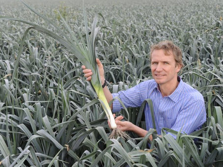 UK Leek Growers Turn To Genetics As Pressures Intensify