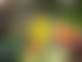 Lidl Pledges £30bn to Bolster British Food Industry