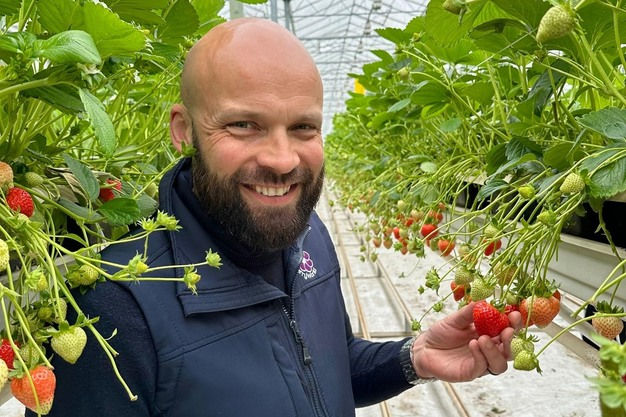 Image: BerryWorld UK | Paul Avery