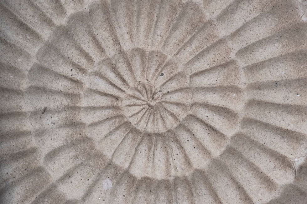 Guided meditation to connect and receive clarity.