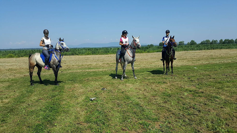 Bratina 2.7.2016.