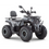 Miniatura: Gas ATV
