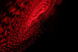unnamed-5_1
