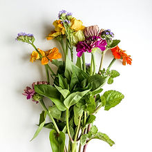 DTS_Healthy_Habit_Allie_Lehman_Photos_ID1770_edited.jpg