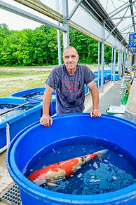 New Jersey Koi Farm