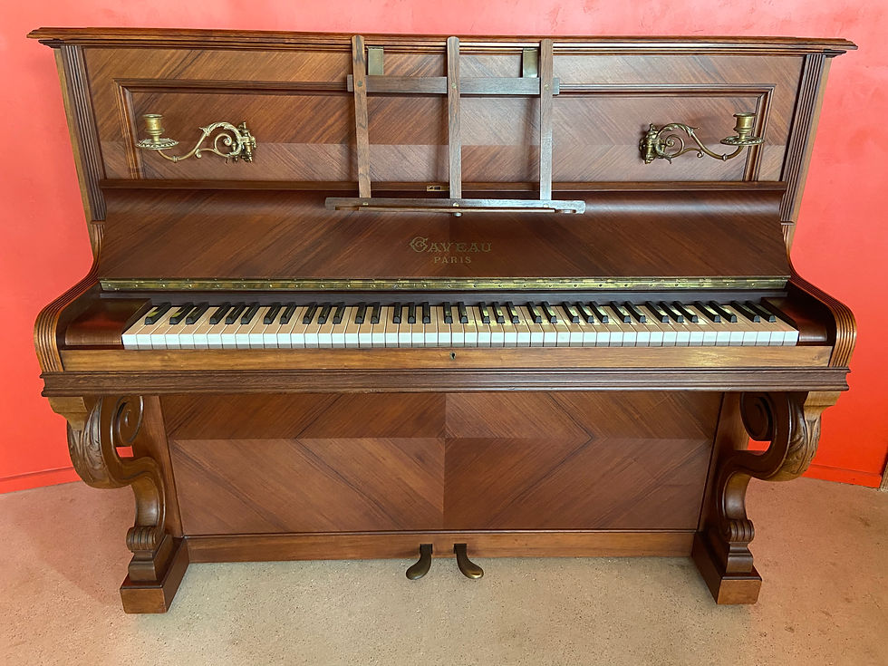 Gaveau modèle D