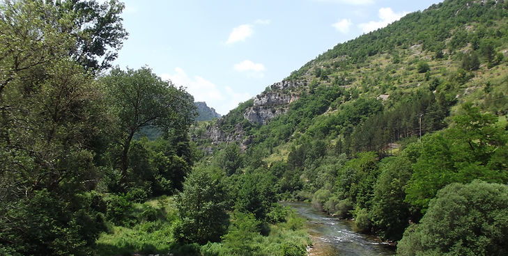 DSCF1008