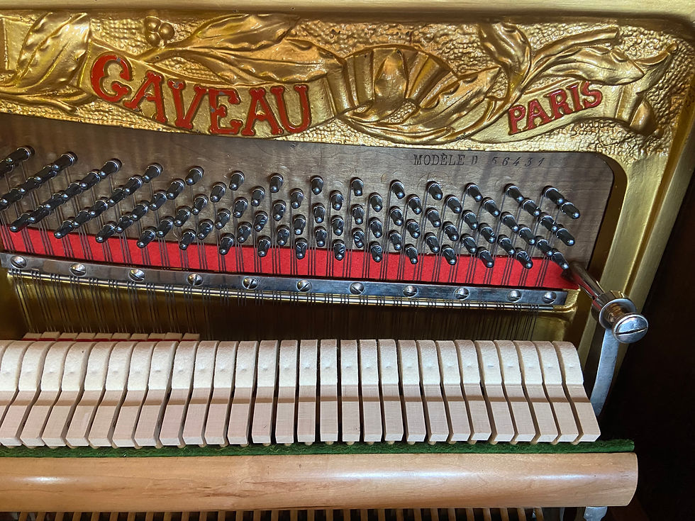 Gaveau modèle D