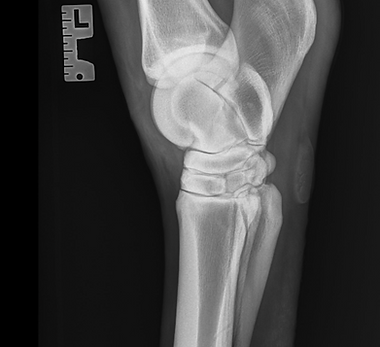 Image 8-3-26 at 14.29.png