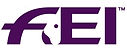 FEI.jpg