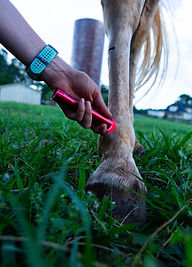 Shared from Lightroom mobile-2.jpg