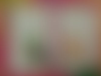 Comenzamos nuevo proyecto