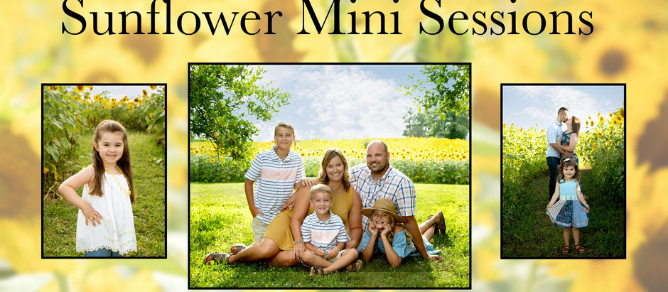 Sunflower Mini Sessions- August 24 & 25